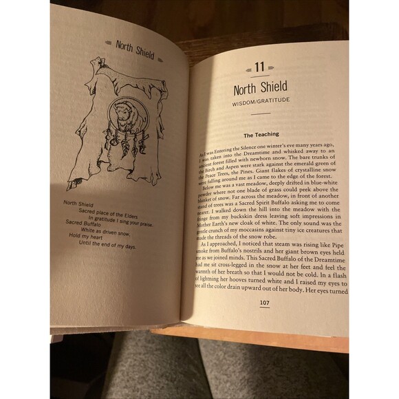 Vintage Sacred Path Cards by Jamie Sams 44 Cards + Book Native American Spiritua - Picture 4 of 8